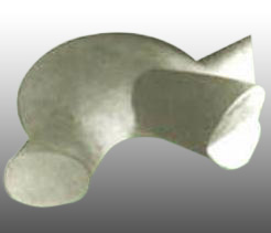 Brancusi Broasca testoasa Brancusi Broasca testoasa